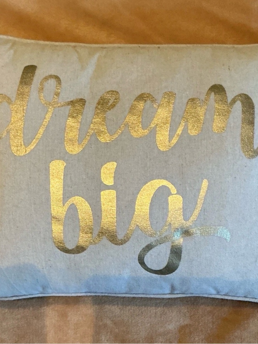 Gold Foil 'Dream Big' Accent Pillow